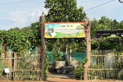 IMG_5009